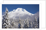 winter snow adds beauty to Mt. Hood, Oregon. Oregon Cascades. by Anonymous