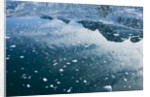 Arctic Ice, Svalbard by Anonymous