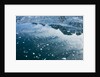 Arctic Ice, Svalbard by Anonymous