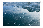 Arctic Ice, Svalbard by Anonymous