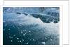 Arctic Ice, Svalbard by Anonymous