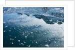 Arctic Ice, Svalbard by Anonymous