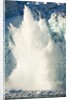 Calving Arctic Glacier, Svalbard by Anonymous