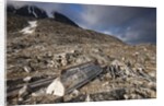 Trappers Hut, Svalbard, Norway by Anonymous