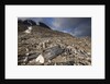Trappers Hut, Svalbard, Norway by Anonymous