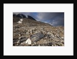Trappers Hut, Svalbard, Norway by Anonymous
