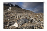 Trappers Hut, Svalbard, Norway by Anonymous