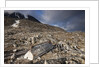 Trappers Hut, Svalbard, Norway by Anonymous