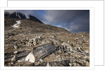 Trappers Hut, Svalbard, Norway by Anonymous