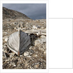 Trappers Hut, Svalbard, Norway by Anonymous