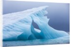 Arctic Ice, Svalbard by Anonymous