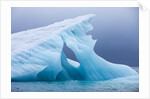 Arctic Ice, Svalbard by Anonymous