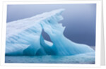 Arctic Ice, Svalbard by Anonymous