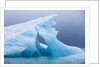 Arctic Ice, Svalbard by Anonymous
