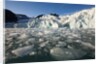 Arctic Ice, Svalbard by Anonymous