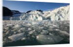 Arctic Ice, Svalbard by Anonymous