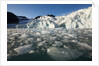 Arctic Ice, Svalbard by Anonymous