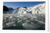 Arctic Ice, Svalbard by Anonymous