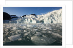 Arctic Ice, Svalbard by Anonymous