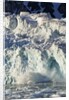 Arctic Ice, Svalbard by Anonymous