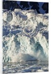 Arctic Ice, Svalbard by Anonymous