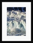 Arctic Ice, Svalbard by Anonymous