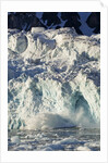 Arctic Ice, Svalbard by Anonymous
