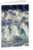 Arctic Ice, Svalbard by Anonymous