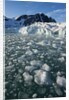 Calving Arctic Glacier, Svalbard by Anonymous