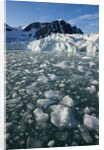 Calving Arctic Glacier, Svalbard by Anonymous