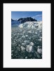 Calving Arctic Glacier, Svalbard by Anonymous