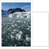 Calving Arctic Glacier, Svalbard by Anonymous
