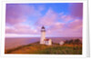 sunrise North Head Lighthouse, Washington State, Pacific Ocean, Pacific Northwest. by Anonymous