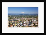 aerial image of Portland and Mt.Hood, Oregon, Pacific Northwest. by Anonymous