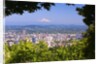 Mt.Hood from Pittock Mansion. Portland Oregon. Pacific Northwest. by Anonymous