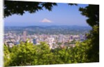 Mt.Hood from Pittock Mansion. Portland Oregon. Pacific Northwest. by Anonymous