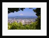 Mt.Hood from Pittock Mansion. Portland Oregon. Pacific Northwest. by Anonymous