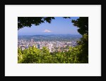 Mt.Hood from Pittock Mansion. Portland Oregon. Pacific Northwest. by Anonymous