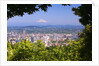 Mt.Hood from Pittock Mansion. Portland Oregon. Pacific Northwest. by Anonymous