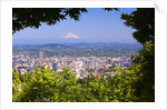Mt.Hood from Pittock Mansion. Portland Oregon. Pacific Northwest. by Anonymous