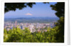 Mt.Hood from Pittock Mansion. Portland Oregon. Pacific Northwest. by Anonymous