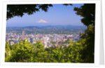Mt.Hood from Pittock Mansion. Portland Oregon. Pacific Northwest. by Anonymous