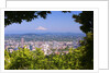 Mt.Hood from Pittock Mansion. Portland Oregon. Pacific Northwest. by Anonymous