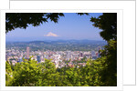 Mt.Hood from Pittock Mansion. Portland Oregon. Pacific Northwest. by Anonymous