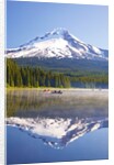 Reflection in Trillium Lake, Mt. Hood, Oregon Cascades. Pacific Northwest by Anonymous