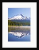 Reflection in Trillium Lake, Mt. Hood, Oregon Cascades. Pacific Northwest by Anonymous