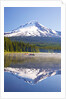 Reflection in Trillium Lake, Mt. Hood, Oregon Cascades. Pacific Northwest by Anonymous