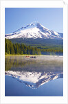 Reflection in Trillium Lake, Mt. Hood, Oregon Cascades. Pacific Northwest by Anonymous