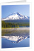 Reflection in Trillium Lake, Mt. Hood, Oregon Cascades. Pacific Northwest by Anonymous