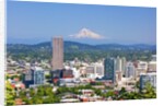 Mt.Hood over Portland skyline from West Hills. Portland Oregon. Pacific Northwest. by Anonymous